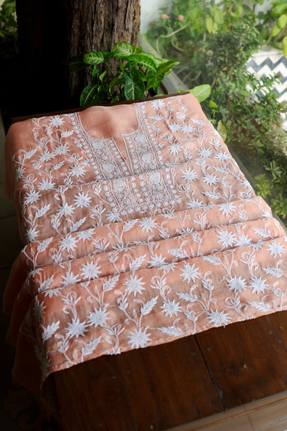 Pastel Rose Shade Noor Organza Banarasi Silk Chikankari Unstitched Kurta Dupatta Set