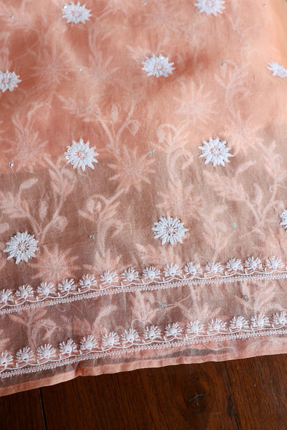 Pastel Rose Shade Noor Organza Banarasi Silk Chikankari Unstitched Kurta Dupatta Set