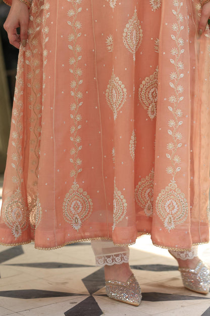 Peach Shade Noor Organza Chikankari Anarkali