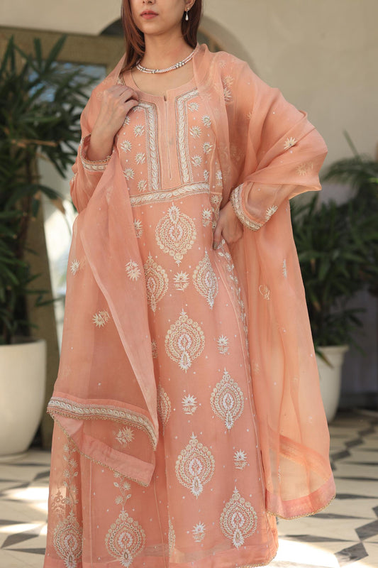 Peach Shade Noor Organza Chikankari Anarkali