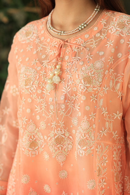 Peach & Carrot Pink Ombre Shade Noor Organza Chikankari A Line Kurta With Dupatta