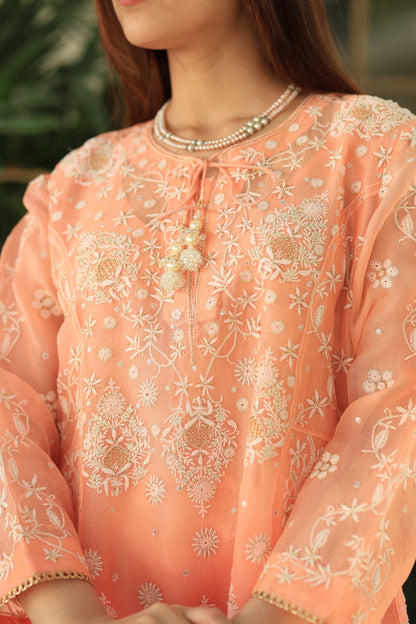 Peach & Carrot Pink Ombre Shade Noor Organza Chikankari A Line Kurta With Dupatta