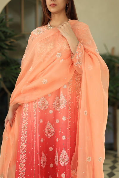 Peach & Carrot Pink Ombre Shade Noor Organza Chikankari Anarkali