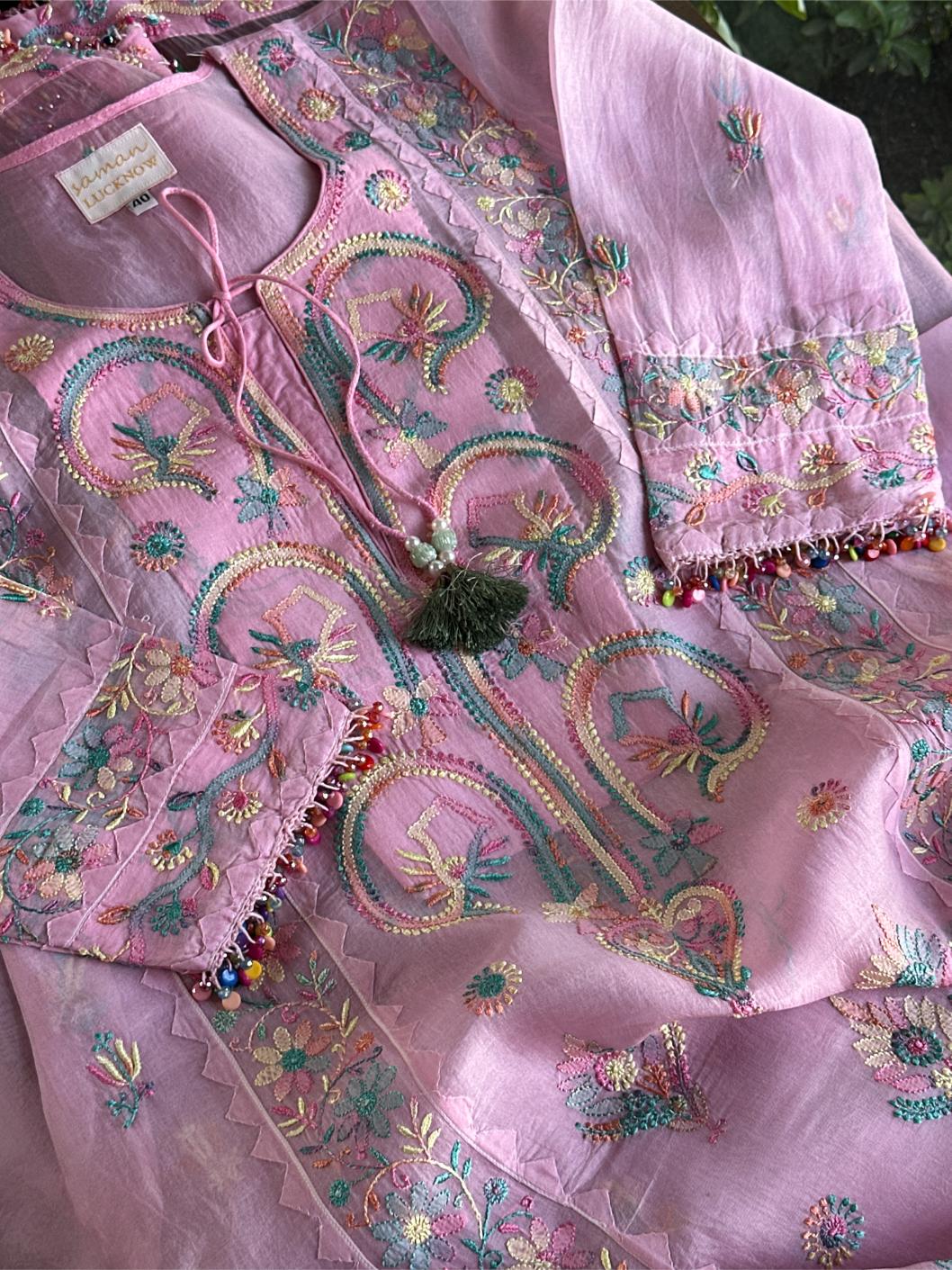 Pink Multi Coloured Noor Organza Resham Chikankari Kurta Set