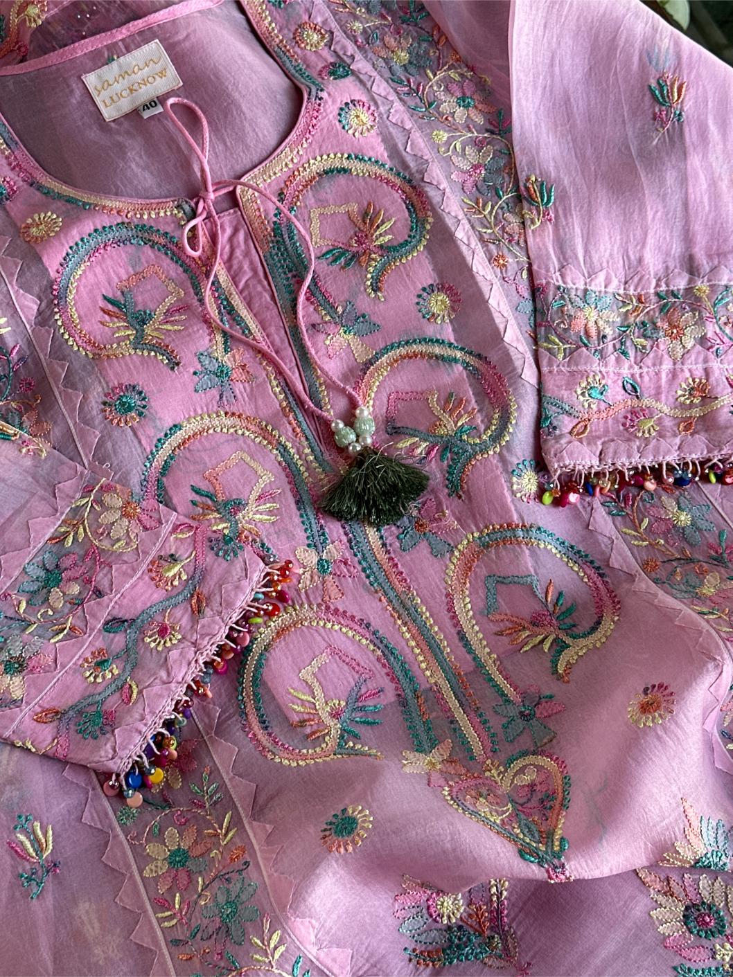 Pink Multi Coloured Noor Organza Resham Chikankari Kurta Set