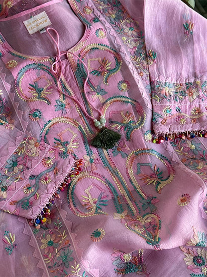 Pink Multi Coloured Noor Organza Resham Chikankari Kurta Set
