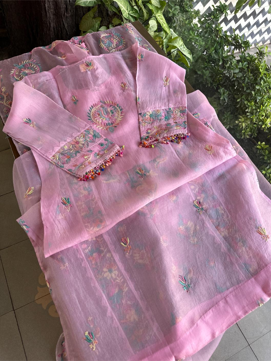 Pink Multi Coloured Noor Organza Resham Chikankari Kurta Set
