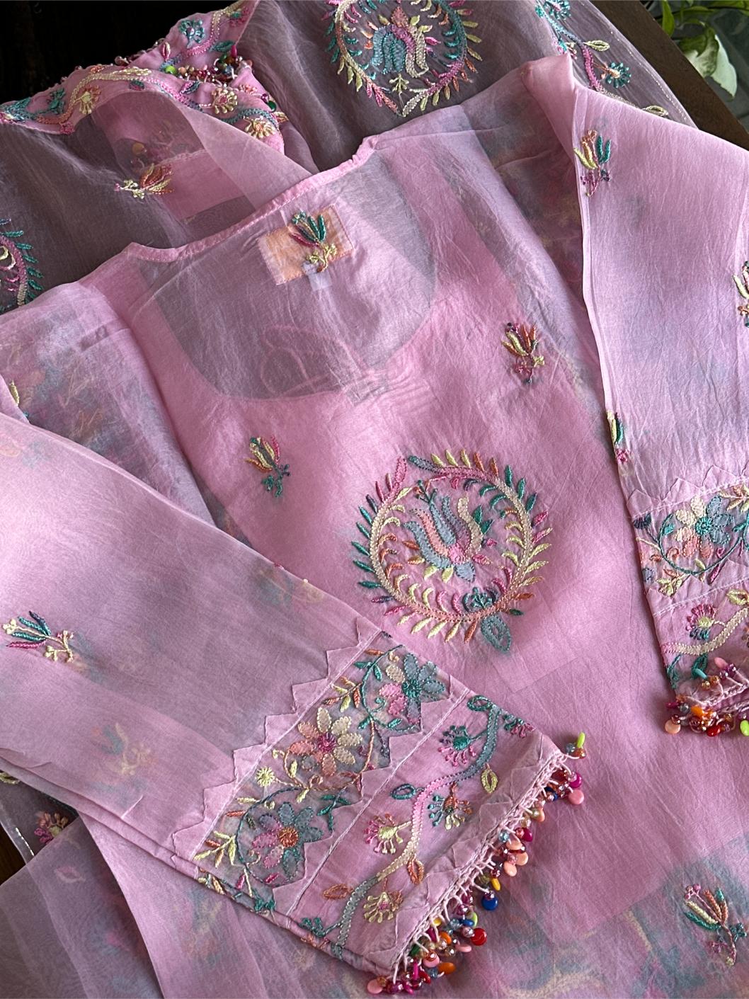 Pink Multi Coloured Noor Organza Resham Chikankari Kurta Set