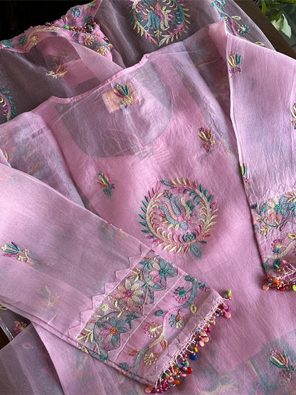 Pink Multi Coloured Noor Organza Resham Chikankari Kurta Set