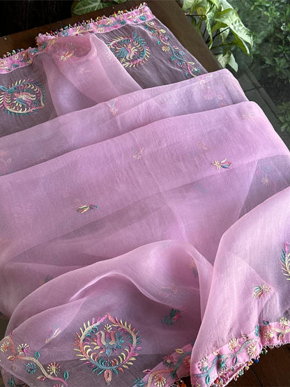 Pink Multi Coloured Noor Organza Resham Chikankari Kurta Set