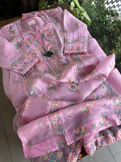Pink Multi Coloured Noor Organza Resham Chikankari Kurta Set