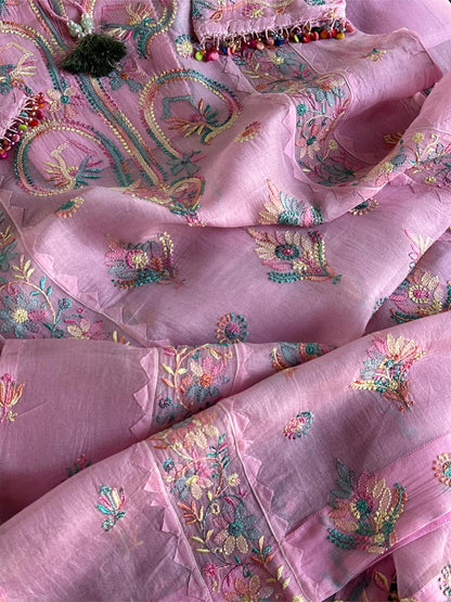 Pink Multi Coloured Noor Organza Resham Chikankari Kurta Set