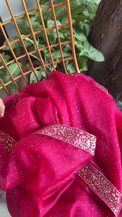 Pink Shade Mukaish Lakh Dana Saree With Blouse