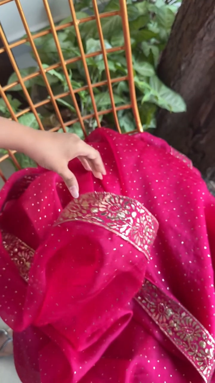 Pink Shade Mukaish Lakh Dana Saree With Blouse