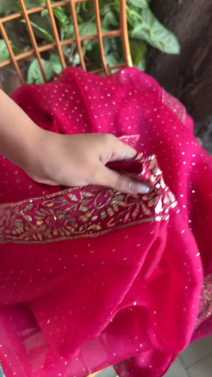 Pink Shade Mukaish Lakh Dana Saree With Blouse