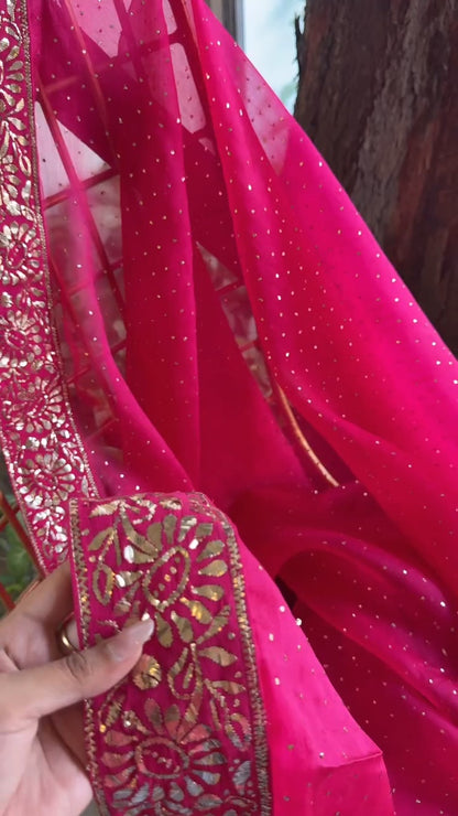 Pink Shade Mukaish Lakh Dana Saree With Blouse