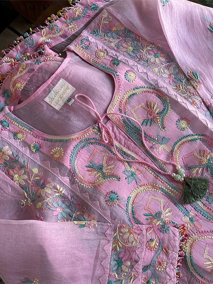 Pink Multi Coloured Noor Organza Resham Chikankari Kurta Set