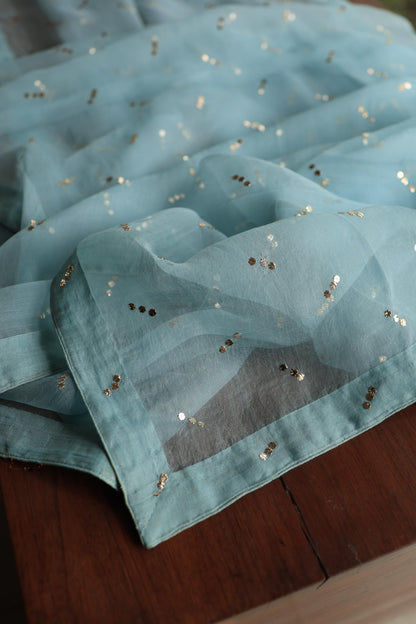 Powder Blue Shade Noor Organza Silk Chikankari Unstitched Kurta Dupatta Set