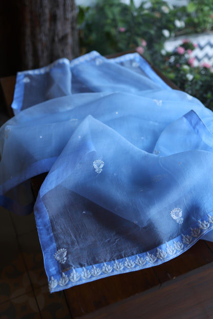 Powder Blue Shade Noor Organza Silk Chikankari Unstitched Kurta Dupatta Set
