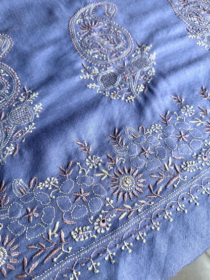 Powder Blue Shade Saman Pashmina Resham Thread Fine Chikankari Shawl