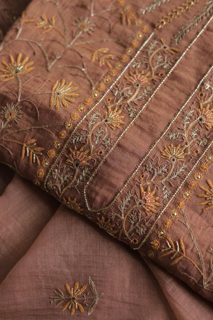 Roheen Tissue Silk Chikankari Fabrics