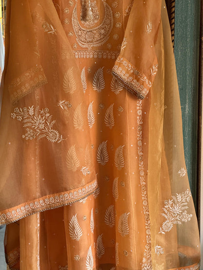 Saffron Orange Noor Organza Chikankari Anarkali Kurta With Dupatta