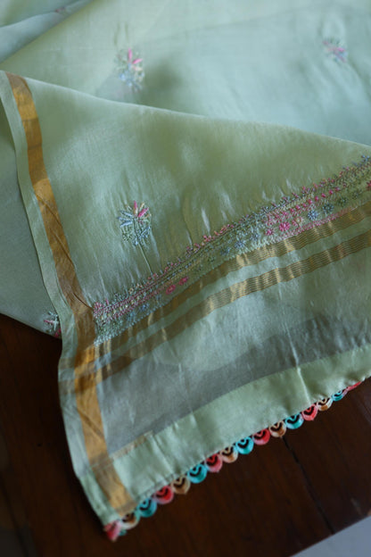 Sage Green Multi-Coloured Noor Organza Resham Chikankari Kurta Set