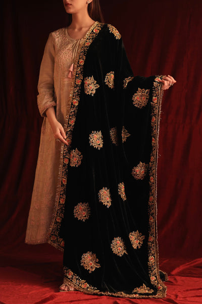 Saman Velvet Chikankari Buta Shawl With Lace Border