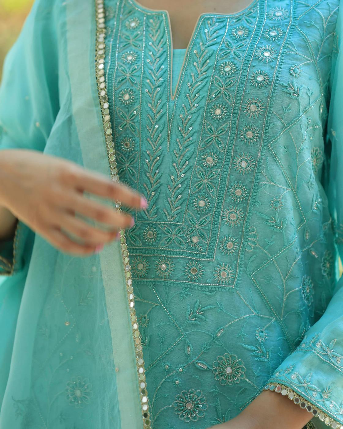 Sky Blue Organza Chikankari Ari Work Sharara Set