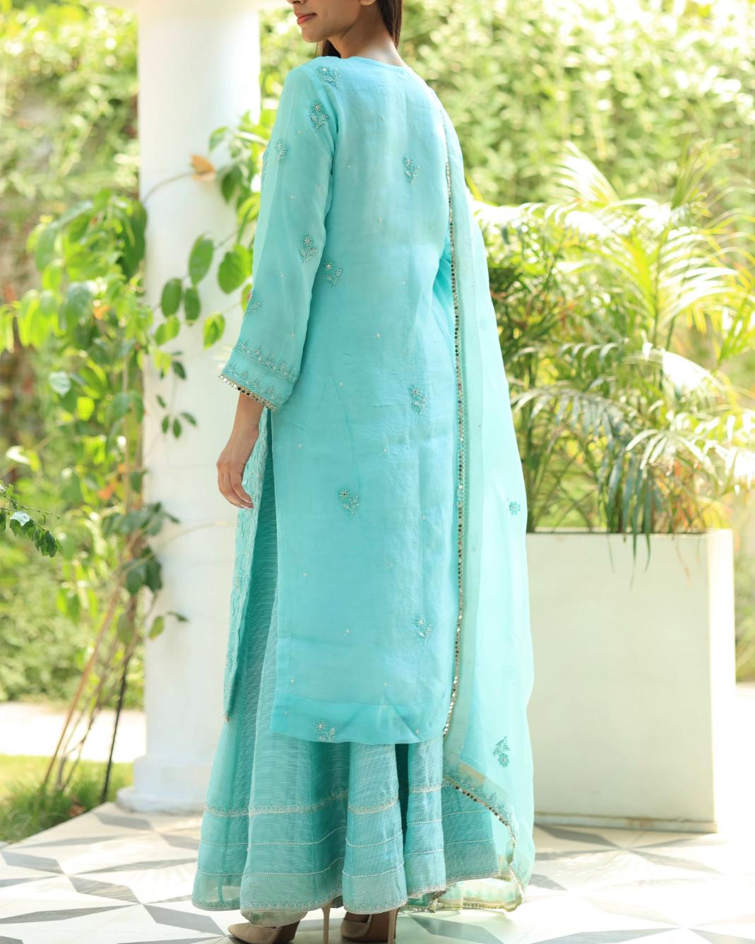 Sky Blue Organza Chikankari Ari Work Sharara Set