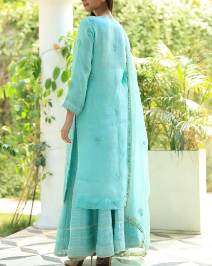 Sky Blue Organza Chikankari Ari Work Sharara Set