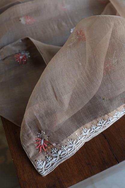 Smokey Beige Noor Organza Silk Chikankari With Kamdani Fabric