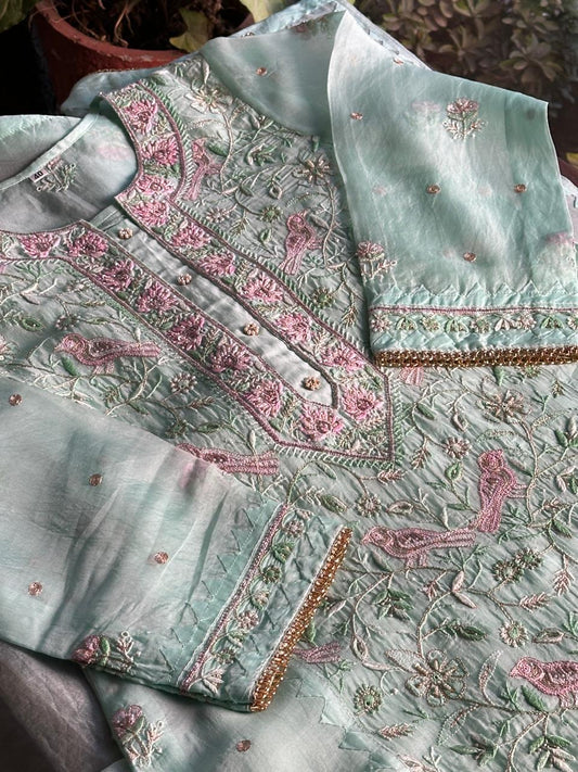 Soft Blue Shade Chikankari x Applique Organza Kurta Set