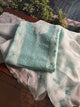 Summer Green Shade Noor Organza Silk Chikankari Unstitched Kurta Dupatta Set
