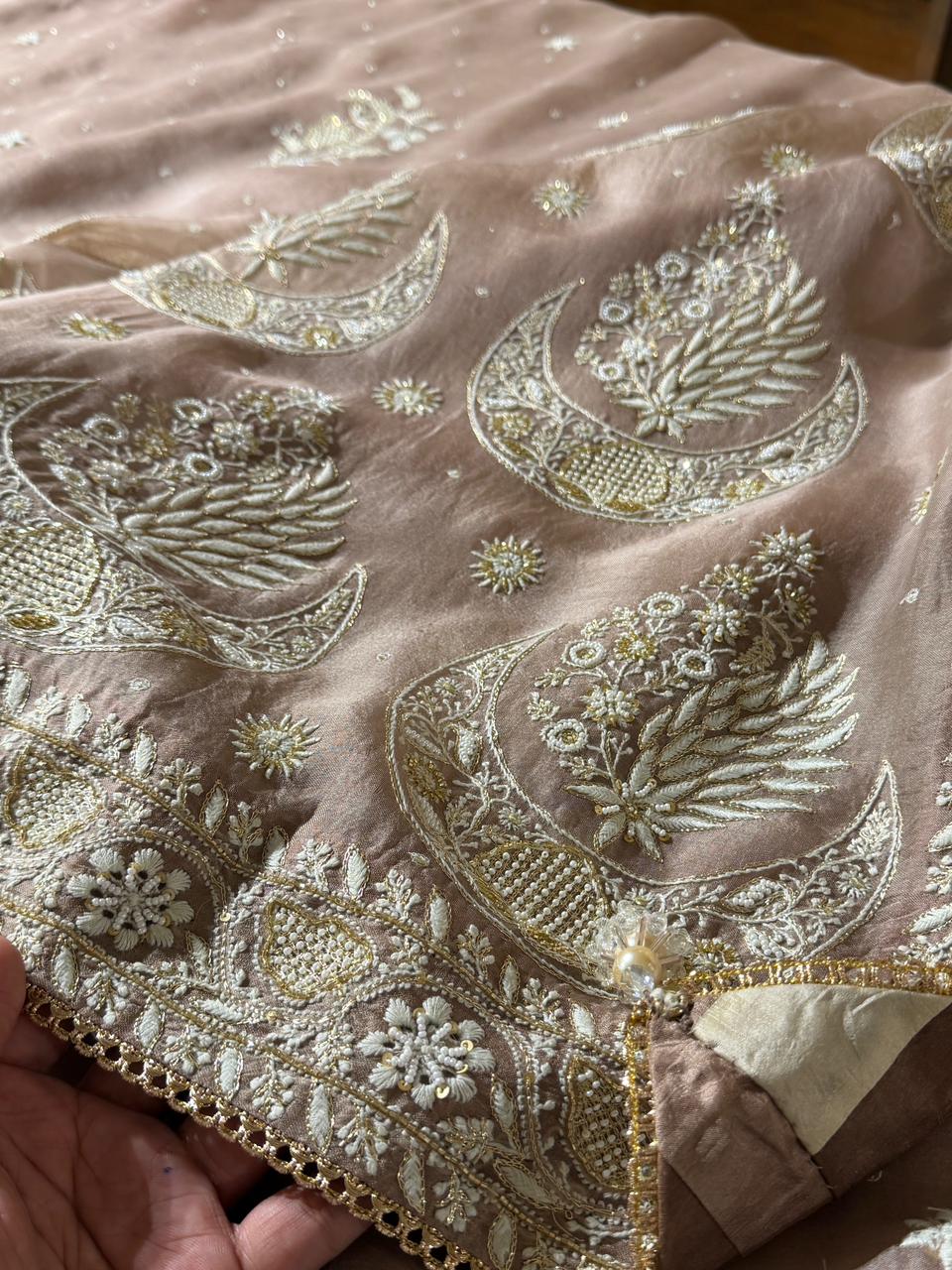 Taupe Shade Organza Chikankari Saree With Chand Motifs