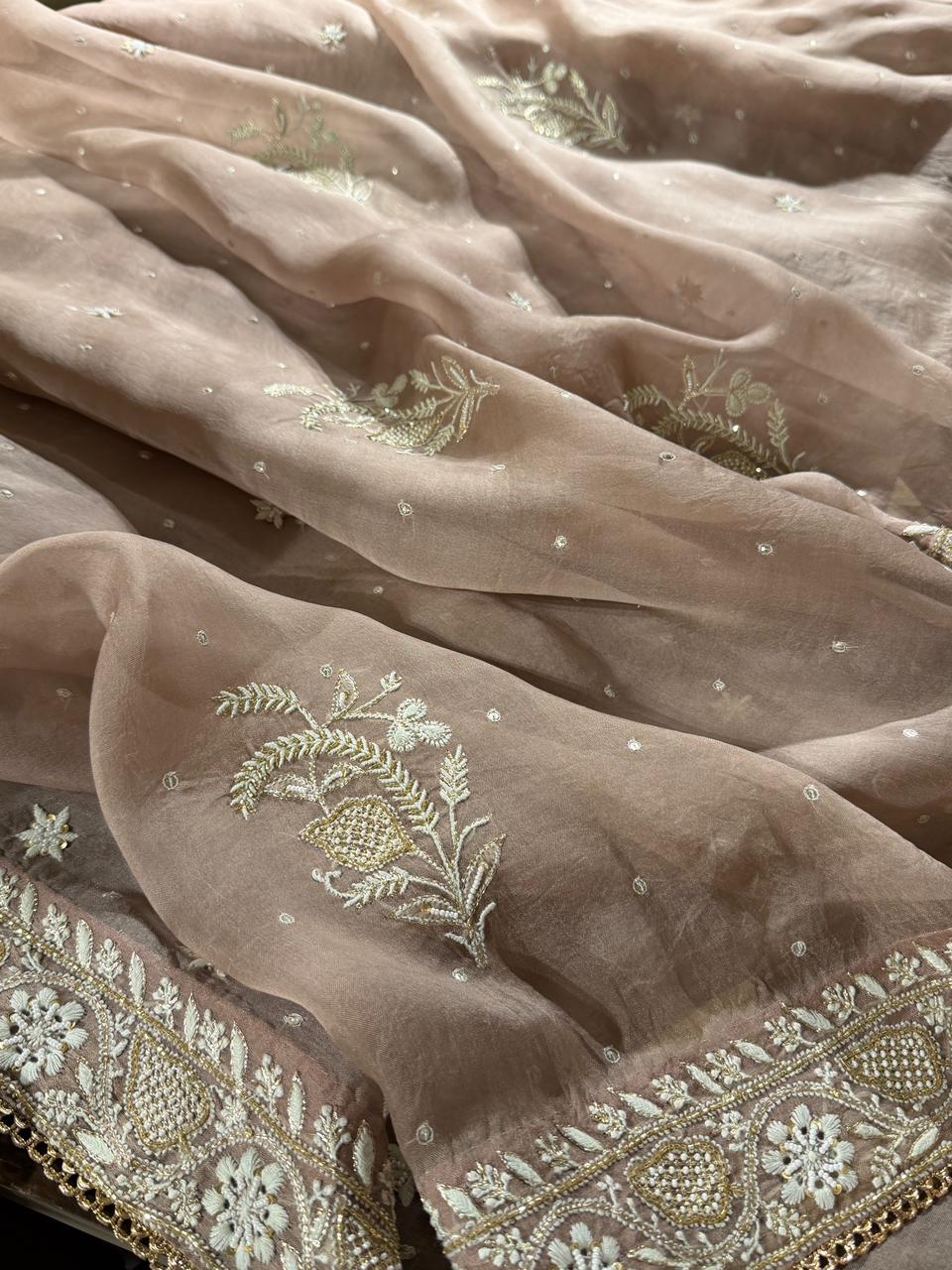 Taupe Shade Organza Chikankari Saree With Chand Motifs
