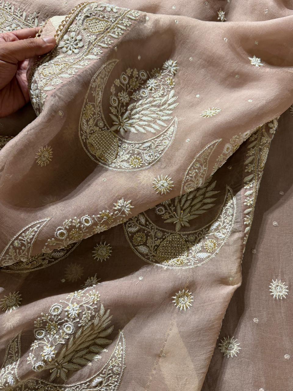 Taupe Shade Organza Chikankari Saree With Chand Motifs