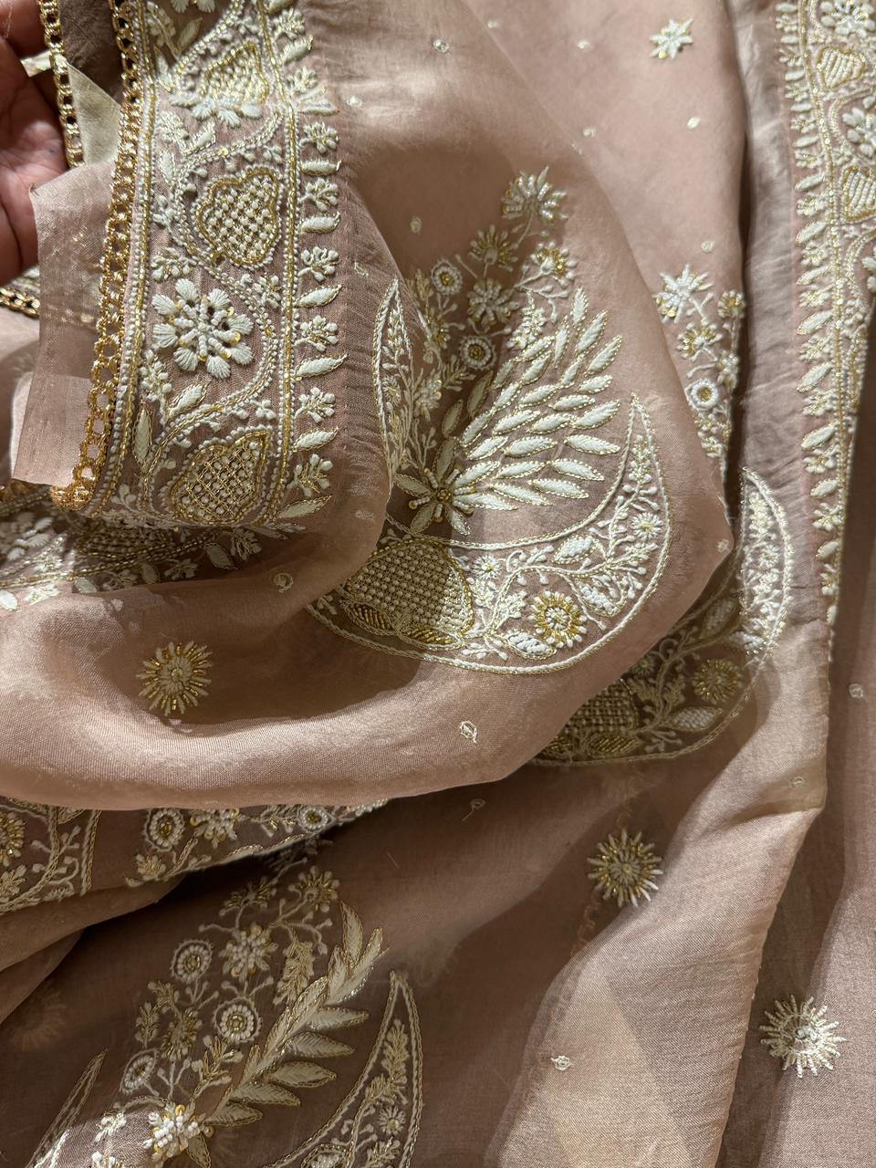 Taupe Shade Organza Chikankari Saree With Chand Motifs
