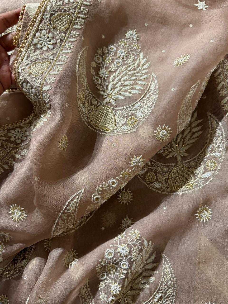 Taupe Shade Organza Chikankari Saree With Chand Motifs