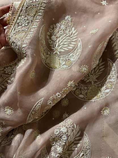 Taupe Shade Organza Chikankari Saree With Chand Motifs
