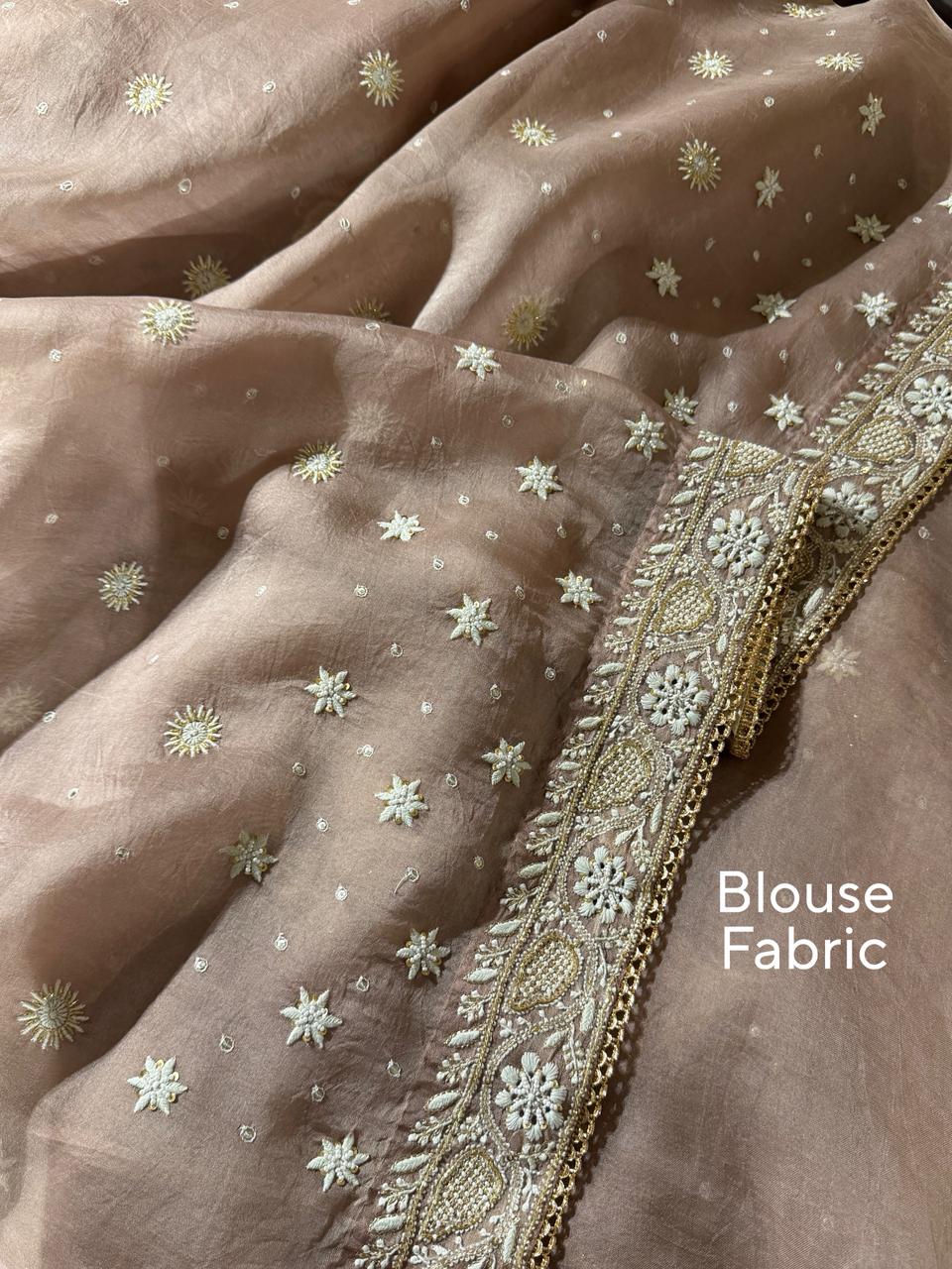 Taupe Shade Organza Chikankari Saree With Chand Motifs