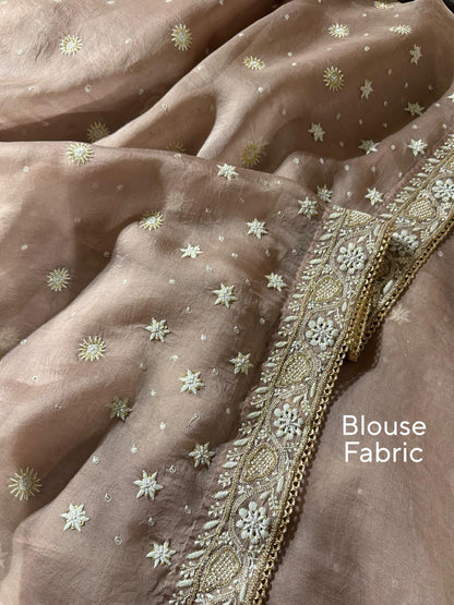 Taupe Shade Organza Chikankari Saree With Chand Motifs