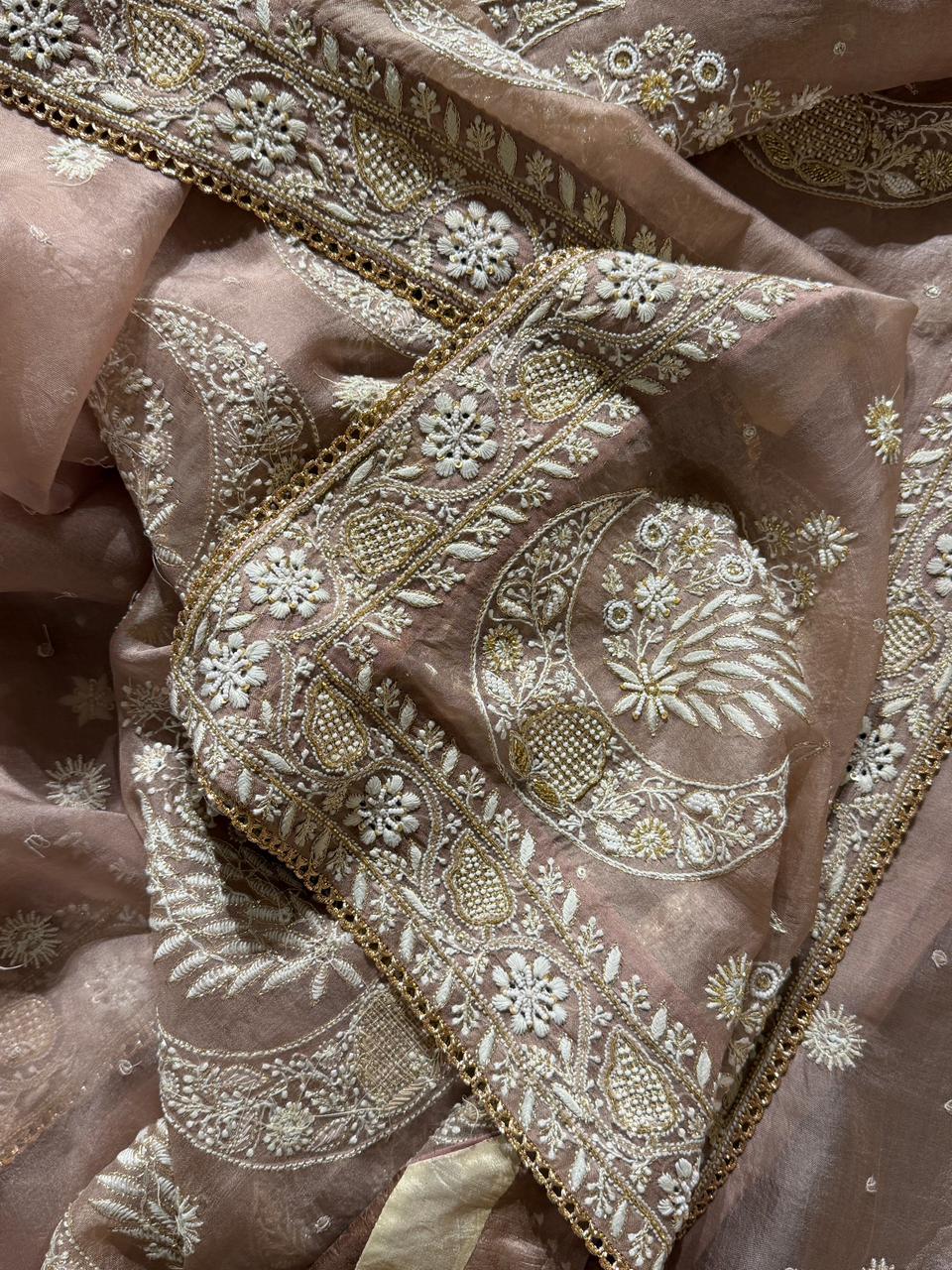 Taupe Shade Organza Chikankari Saree With Chand Motifs