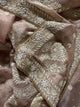 Taupe Shade Organza Chikankari Saree With Chand Motifs