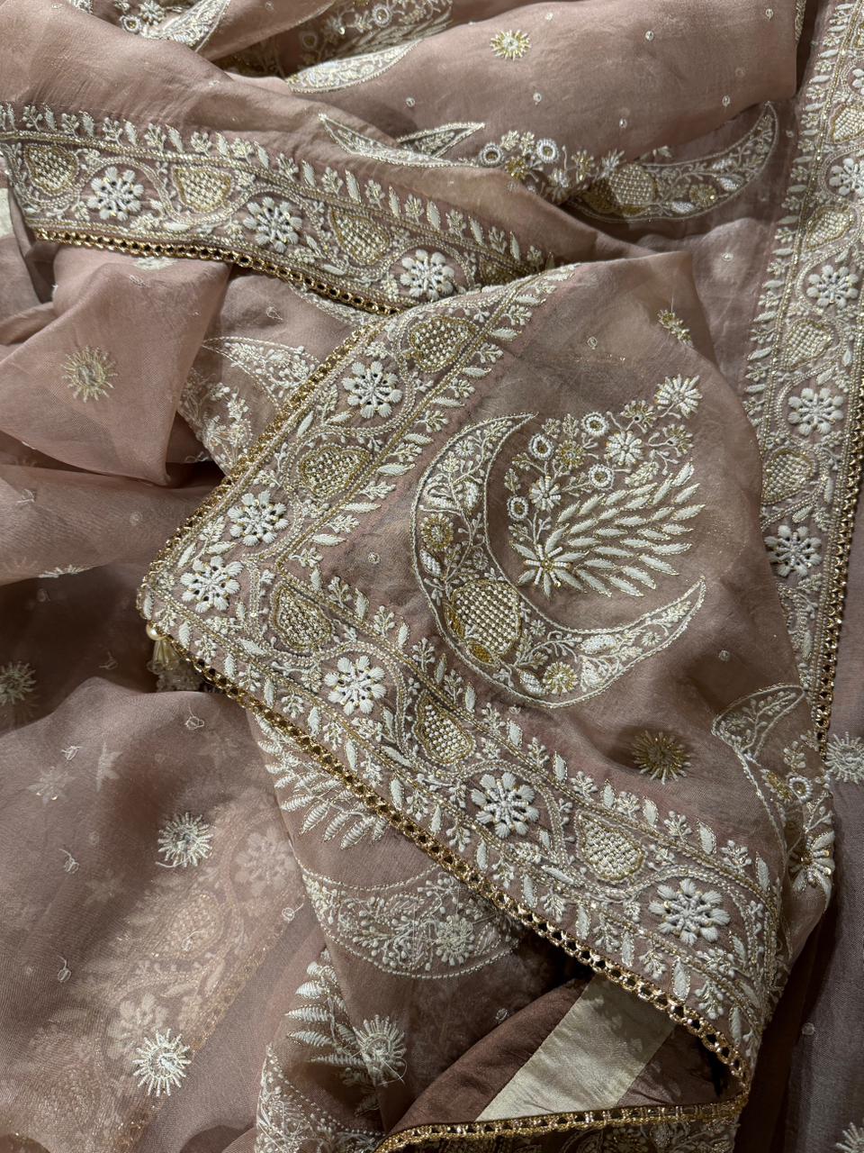 Taupe Shade Organza Chikankari Saree With Chand Motifs
