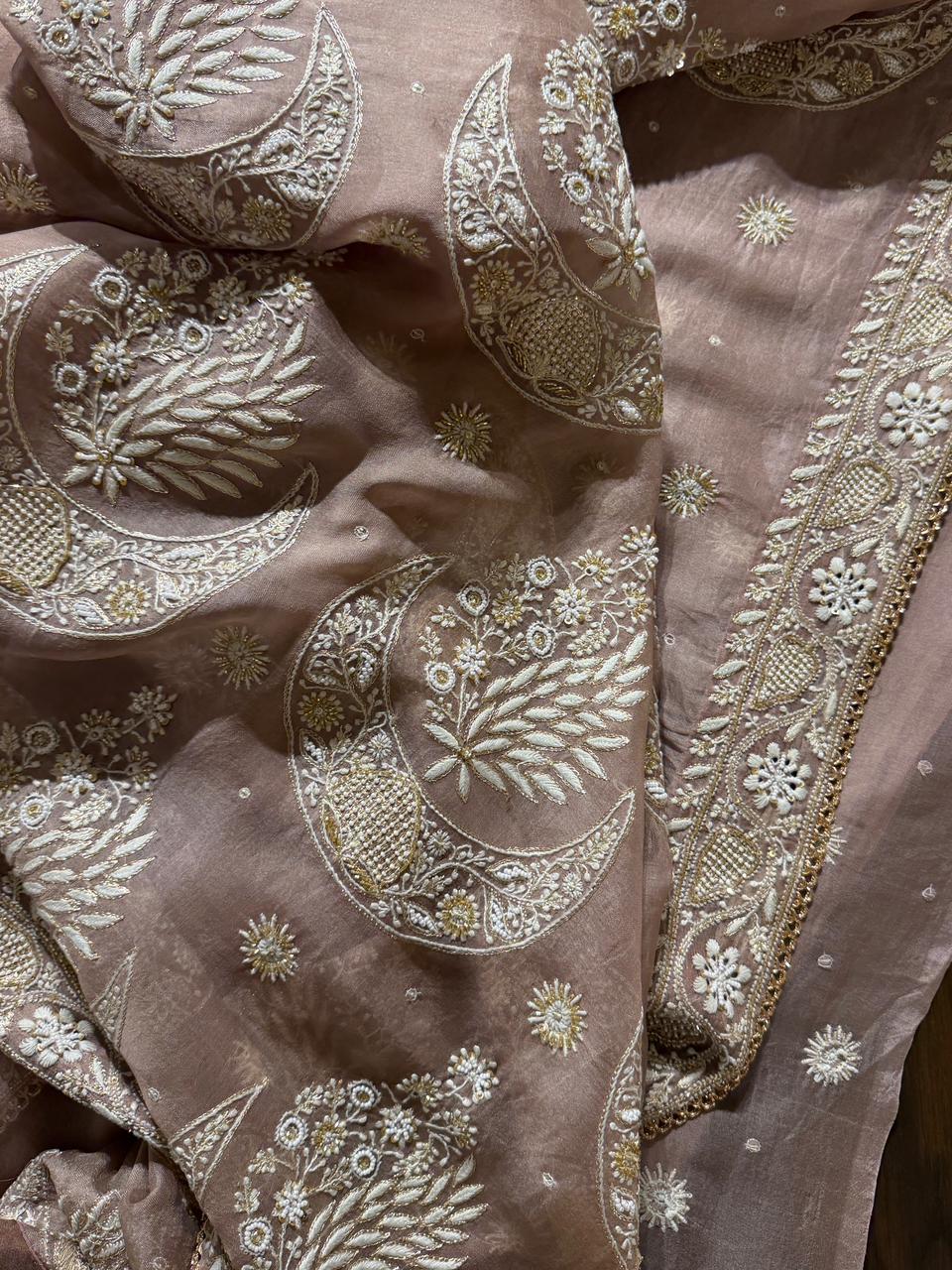 Taupe Shade Organza Chikankari Saree With Chand Motifs