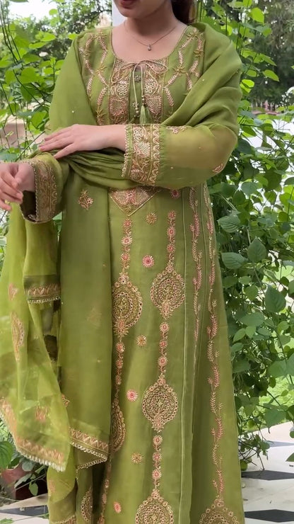 Watermelon Green & Pink Noor Organza Chikankari Anarkali With Dupatta