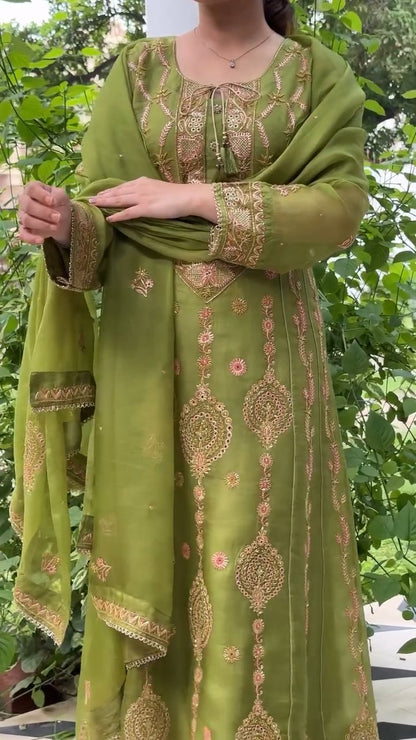 Watermelon Green & Pink Noor Organza Chikankari Anarkali With Dupatta