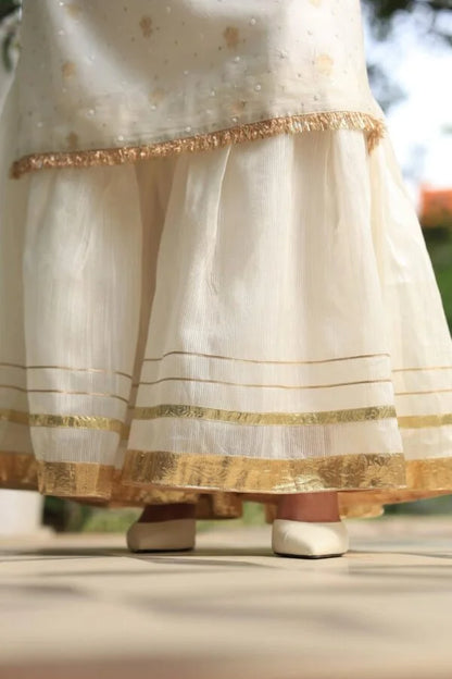 White Banarasi Zari Chanderi Chikankari Sharara Set