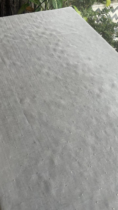 White Noor Organza Mukaish Kamdani Dupatta